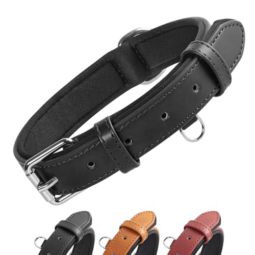 Grand Line Leder Hundehalsband, Lederhalsband Hund mit Weichem Gepolstertes, Breiter und Dicker Hundehalsband, Verstellbares Halsband Hunde für Kleine, Mittlere, Große Hunde (Schwarz, M) von Grand Line