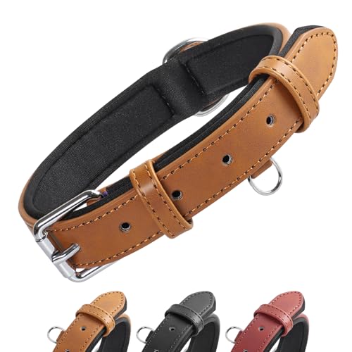 Grand Line Leder Hundehalsband, Lederhalsband Hund mit Weichem Gepolstertes, Breiter und Dicker Hundehalsband, Verstellbares Halsband Hunde für Kleine, Mittlere, Große Hunde (Braun, L) von Grand Line