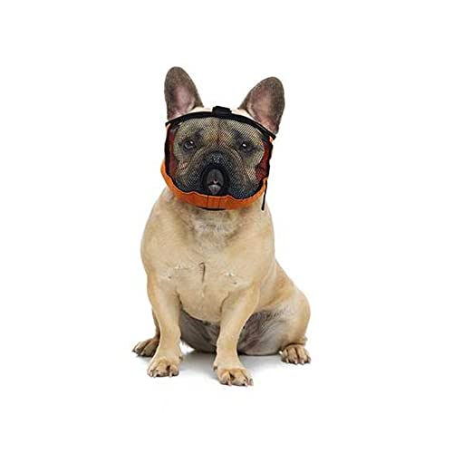 Brachycephalic Maulkorb für Hunde mit abgeflachter Schnauze: Englische Bulldogge, Französische Bulldogge, Pekingese, Shih-Tzu, Mops, auch für Katzen geeignet. (XXS Kopfumfang: 28-40cm) von GrandFinale