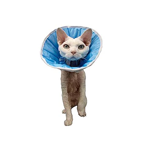 Collerette / Collar / Cone postoperativ, postoperative Operationen für Hunde, Katzen oder Kaninchenn 0(XS)Kopfumfang:18-22cm; Höhe: 6cm von Grande Finale