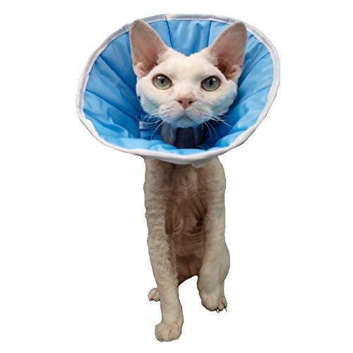 Halskrause/Halsband/Kegel nach Operationen, nach Operationen, für Hunde, Katzen oder Kaninchen (1,5 (S/M) – Halsumfang: 22-28 cm, Höhe: 14) von GRANDE FINALE