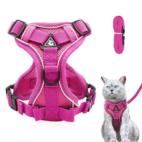 Katzengeschirr und Leine Set, Verstellbares Kätzchengeschirr und Leine Set mit reflektierenden Streifen Ausbruchsicher, Katzenweste Geschirr mit Leinen-Sets für Katzen Hunde Haustiere Gehen (M, Rosa) von Grantop