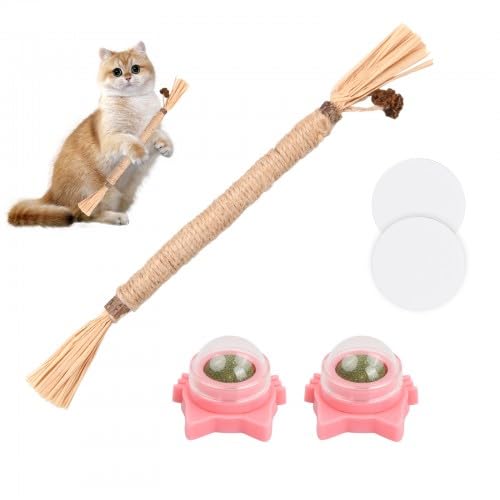 Granvoo Katzen Kauhölzer 22cm Lang+ 2pcs Ball Katzenminze, Knabberstangen Katze von Zähnen, Zahnreinigende Knabberstangen, Katzenminze Spielzeug, Essbare Kätzchen Spielzeug, helfen bei Mundgeruch von Granvoo