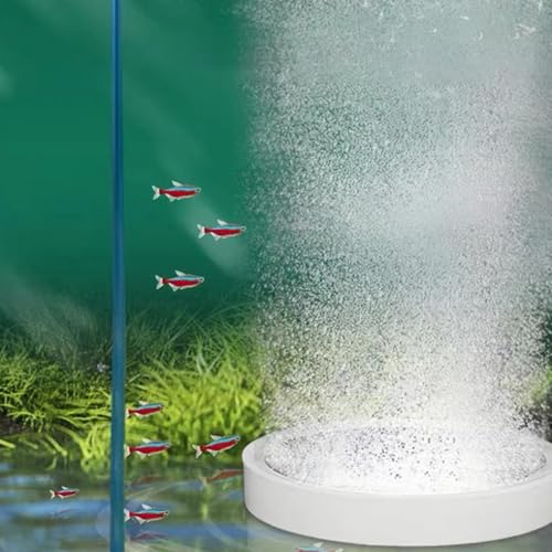 Nano Bubble Air Stone Disc, Aquarium Luftstein Disc Sauerstoff Stein Auströmer Aquarium Bubble Disk Aquarium Diffusor für Gelösten Sauerstoff Luftstein Diffusor für Aquarium Fisch Tank Teiche (100mm) von Granvoo