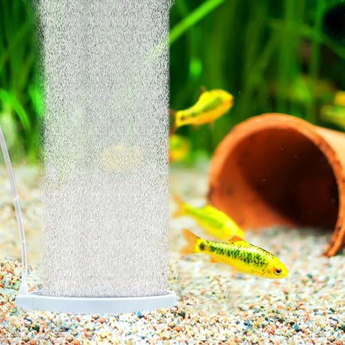 Nano Bubble Air Stone Disc, Aquarium Luftstein Disc Sauerstoff Stein Auströmer Aquarium Bubble Disk Aquarium Diffusor für Gelösten Sauerstoff Luftstein Diffusor für Aquarium Fisch Tank Teiche (80mm) von Granvoo