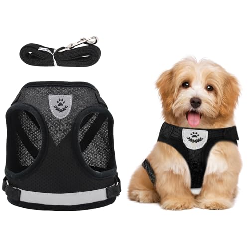 Verstellbare Brustgeschirr, Hundegeschirr mit Leine Reflektierend, Welpen Geschirr und Leine Sets, Hundegeschirr mit Leine Reflektierende Verstellbare Katzen Weste für Kleine Mittele Hunde Katzen (XS) von Granvoo