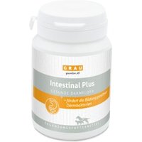 GRAU Intestinal Plus Tabletten 60 Stück von Grau