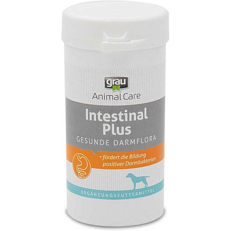 grau Intestinal Plus Tabletten - 120 Stück von Grau