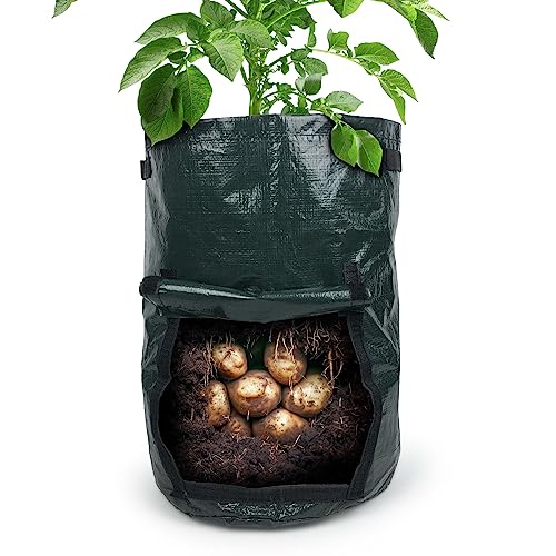 Gravidus 1 Stück Kartoffel Pflanzsack Ideal für mühelosen Gemüseanbau Perfekt für Kartoffeln, Radieschen und mehr - Maße: Ø 30 x 45 cm von Gravidus