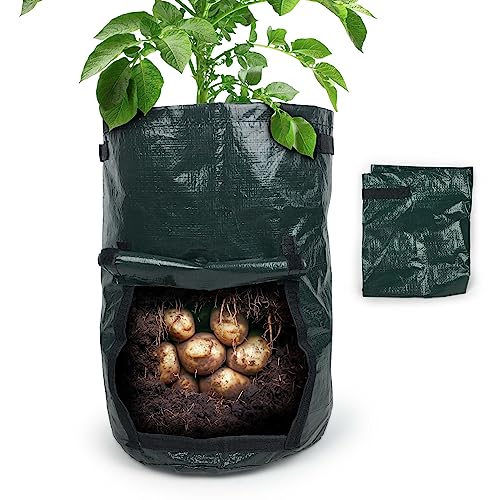 Gravidus 2 Stück Kartoffel Pflanzsack Ideal für mühelosen Gemüseanbau Perfekt für Kartoffeln, Radieschen und mehr - Maße: Ø 30 x 45 cm (2 Stück) von Gravidus