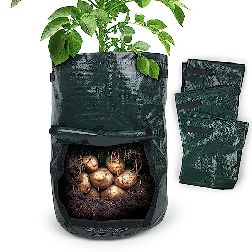 Gravidus 4 Stück Kartoffel Pflanzsack Ideal für mühelosen Gemüseanbau Perfekt für Kartoffeln, Radieschen und mehr - Maße: Ø 30 x 45 cm (4 Stück) von Gravidus