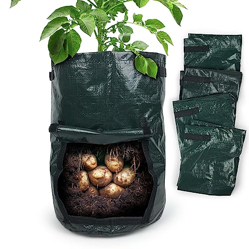 Gravidus 5 Stück Kartoffel Pflanzsack Ideal für mühelosen Gemüseanbau Perfekt für Kartoffeln, Radieschen und mehr - Maße: Ø 30 x 45 cm (5 Stück) von Gravidus