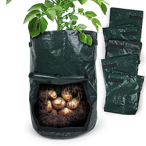 Gravidus 6 Stück Kartoffel Pflanzsack Ideal für mühelosen Gemüseanbau Perfekt für Kartoffeln, Radieschen und mehr - Maße: Ø 30 x 45 cm (6 Stück) von Gravidus