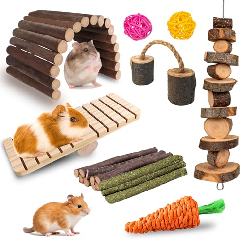 Grddaef Hamsterspielzeug, Kaninchen-Kauspielzeug, Meerschweinchen-Anreicherungsspielzeug, Käfigzubehör für Chinchilla, Rennmäuse, Ratten, Hasen, Eichhörnchen von Grddaef