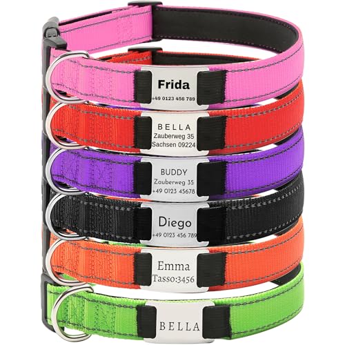 Hundehalsband, Reflektierend Halsband aus Nylon mit Weichem Neopren Polsterung einstellbar Hundehalsbänder Personalisiertes Hundehalsbänder (Halsband mit ID Tag) von Gredstar