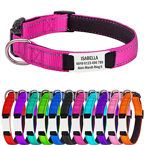 Hundehalsband für Große Hunde, Reflektierend Halsband aus Nylon mit Weichem Neopren Polsterung einstellbar Hundehalsbänder Personalisiertes Hundehalsbänder von Gredstar