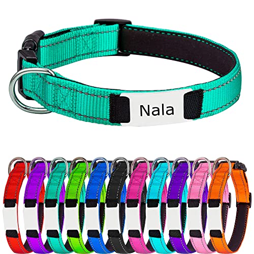 Hundehalsband für Kleine Hunde, Reflektierend Halsband aus Nylon mit Weichem Neopren Polsterung einstellbar Hundehalsbänder Personalisiertes Hundehalsbänder von Gredstar