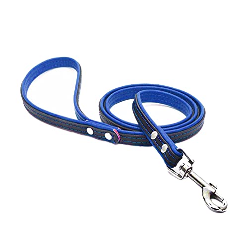 Leder Hundeleine 1,2m für Kleinere bis Größere Hunde,Leder Leine Laufleine Hundeleine mit Gepolsterten Griffen Trainingsleine (Blau, M(Breit 1,9cm, Länge 120 cm)) von Gredstar