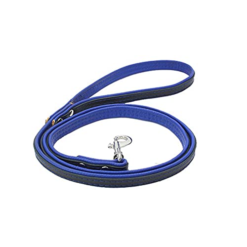 Leder Hundeleine 1,2m für Kleinere bis Größere Hunde,Leder Leine Laufleine Hundeleine mit Gepolsterten Griffen Trainingsleine (Blau, S (Breit 1,3cm, Länge 120 cm)) von Gredstar