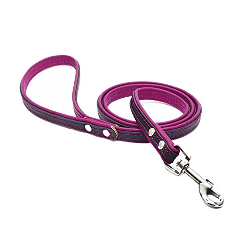 Leder Hundeleine 1,2m für Kleinere bis Größere Hunde,Leder Leine Laufleine Hundeleine mit Gepolsterten Griffen Trainingsleine (Lila, M(Breit 1,9cm, Länge 120 cm)) von Gredstar