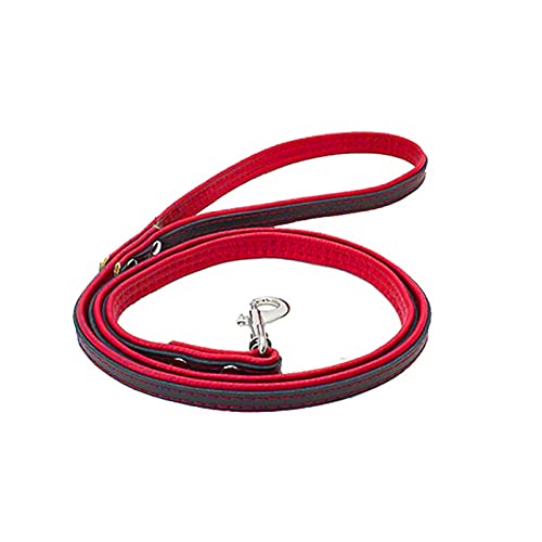 Leder Hundeleine 1,2m für Kleinere bis Größere Hunde,Leder Leine Laufleine Hundeleine mit Gepolsterten Griffen Trainingsleine (Rot, S (Breit 1,3cm, Länge 120 cm)) von Gredstar