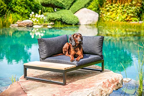 greemotion Hundebett aus Aluminium mit Kissen und Ablagefläche, 100 x 45 x 70 cm von Greemotion