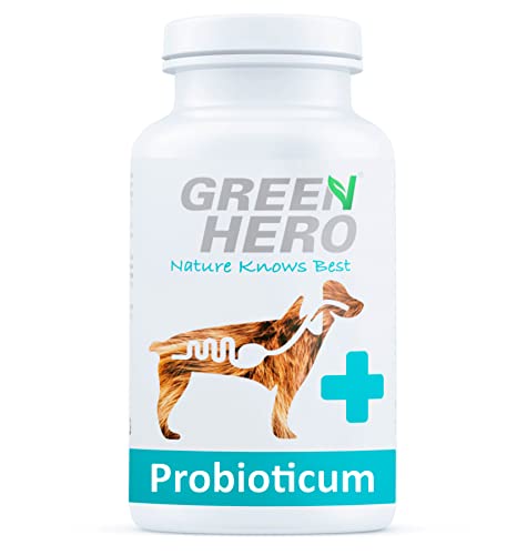 Green Hero Probioticum für Hunde 120 Tabletten reguliert die Verdauung, baut die Darmflora auf und stärkt das Immunsystem Probiotika und Präbiotika zur Darmsanierung und Darmpflege 180 g von Green Hero