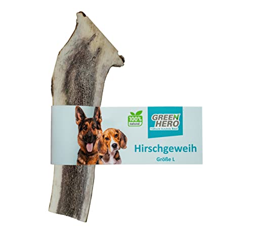 Green Hero Hirschgeweih Kausnack Größe L - 14 cm natürlicher und nachhaltiger Kauknochen aus Hirsch Geweih für Hunde langlebig zur Unterstützung von Kiefer und Zähnen von Green Hero