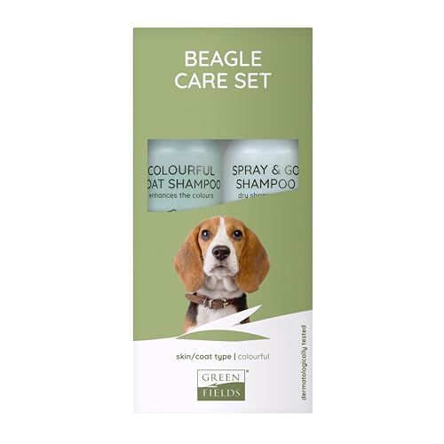 Greenfields Hundeshampoo Geschenk Set für Beagle (farbiges Fell) - 2 x 250 ml Beagle Care Set von Greenfields