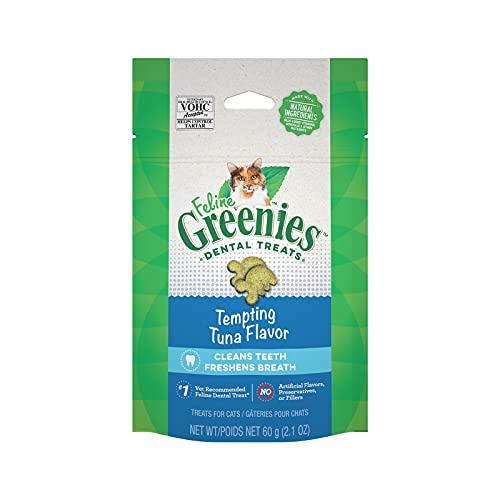 Greenies Dental Katze behandelt von Greenies