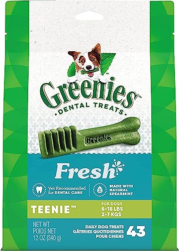 Greenies Fresh Mint Dental Chew | Teenie Size 43 Count - Pack of 4 von Greenies