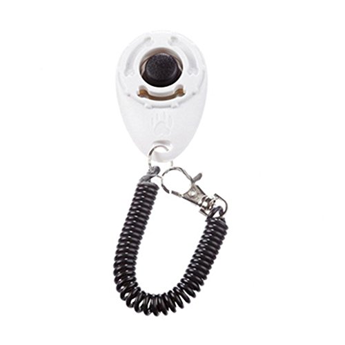 Greenlans Hunde Welpen Haustier-Clicker mit Logo Clip Gehorsam-Funktion für die Schule von Greenlans