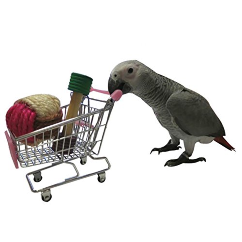 Mini Lovely Cart Trolley Kauspielzeug für Parrot Aras Graupapageien Wellensittich Sittiche Nymphensittiche Sittiche Unzertrennliche Kakadu Amazon Kaninchen Hamster Käfig Spielen Spielzeug von Greenlans