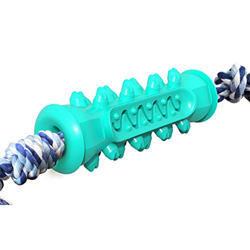 Greethga Hundezahnbürstenspielzeug, Knochenform, Kauspielzeug für aggressive Kauer, Zahnreinigung, Kauspielzeug, Blau von Greethga