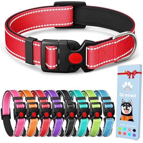 Grepad Polyester-Hundehalsband für mittelgroße Hunde, weiblich, männlich, langlebig, bequem, gepolstert, Basic Hundehalsband für Welpen, kleine und extra große Rassen, Sengend Rot, Größe M von Grepad