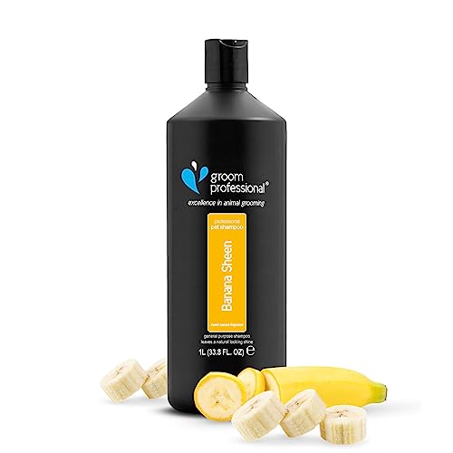 GROOM PROFESSIONAL Banana Sheen Hundeshampoo - Hundeshampoo Gegen Juckreiz - Tiefenreinigendes Shampoo für Hunde - Verleiht Glanz und Weichheit - Perfekt für Stumpfes und Trockenes Fell, 1 Liter von Groom Professional