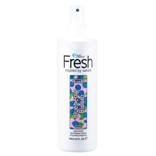 Groom Professional Fresh Blueberry Bloom Hundeparfüm - Hundeparfüm-Spray - Frisches Duftspray für Hunde Gegen Geruch - Süßer Blaubeerduft - Langanhaltender Duft - Langanhaltender Duft, 400ml von Groom Professional