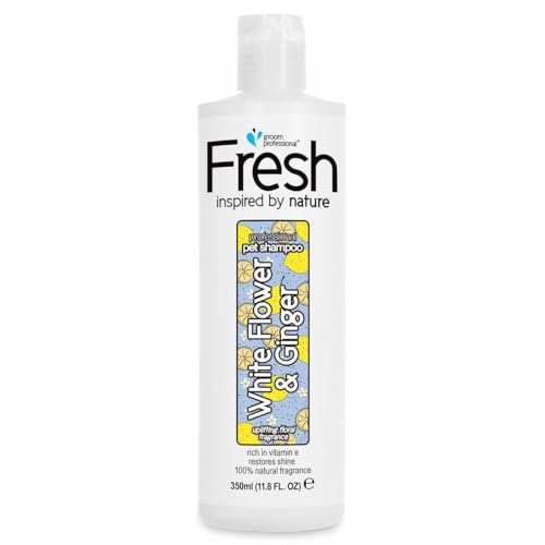 Groom Professional Fresh White Flower & Ginger Hundeshampoo Sensitiv - Natürliches Shampoo für Empfindliche Haut - Regeneriert Beschädigtes Fell - Für Trockenes & Stumpfes Fell - Zitrusduft, 350ml von Groom Professional