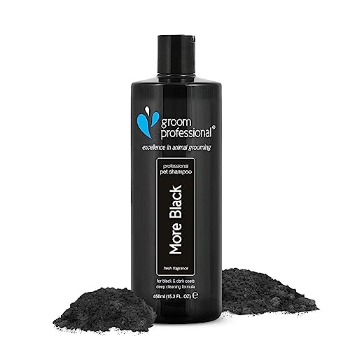 GROOM PROFESSIONAL More Black Hundeshampoo - Farbverstärkendes Shampoo für Hunde - Perfekt für Schwarze oder Dunkelhäutige Rassen - Tiefenreinigendes Shampoo - Frischer Duft, 450ml von Groom Professional