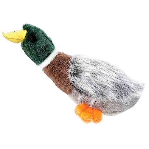 Grriggles 25,4 cm Plüsch Squawk Flock Hundespielzeug von Grriggles