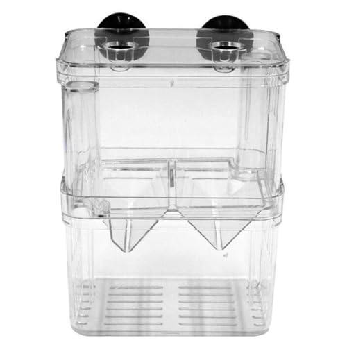 Fischzüchtungsbox Aquarium Inkubator Fry Beilery Isolation Box Fisch Eltern Behälterteiler mit Saugbechern Doppelschichten Acryl transparent L, Fischzuchtschachtel von Grtheenumb