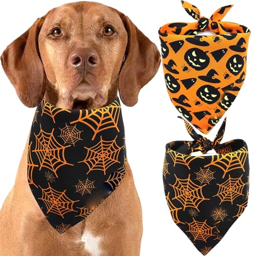 Hundebandana, 2pcs Halloween Hundebandanas, Kürbis und Spinnennetz -Labber Dog Bandana, Polyester Neckerchief Dreieck Reversible Haustier Schal für Hunde Halloween Dekor, Halloween Hund Bandan von Grtheenumb