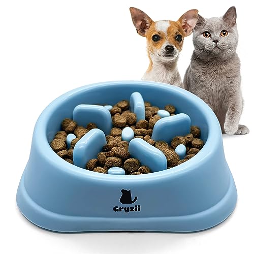 Fressnapf für Katzen & kleine Hunde | kleine Haustiere, langsames und gesundes Essen, fördert die Verdauung des Tieres, verhindert Erbrechen, Design mit rutschfesten Füßen (klein, blau) von Gryzii