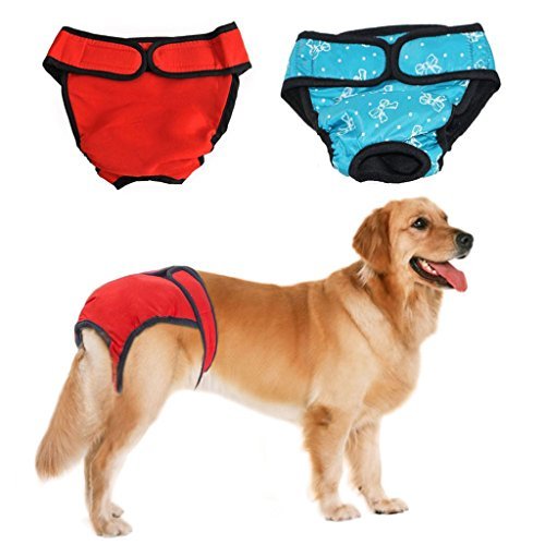 Gshy 2pcs Wiederverwendbare Weibliche Hund Physiologische Unterwäche Hygieneeinlagen Hundeschutzhose Sanitär Windel Haustier Hündinnen Schutzhose (L, Rot Blau) von Gshy