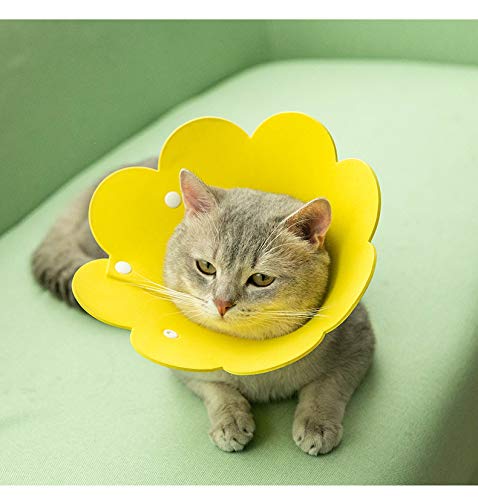 Gshy Halsbänder für Hundekatze Anti-Biss-Kragen Sonnenblume Halskegelschutz Verstellbarer Eva-Schwammkragen für Hund Katze Hündchen M von Gshy