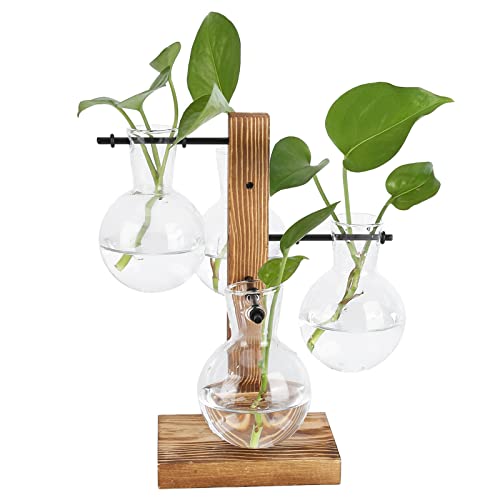 Glas-Pflanzgefäß, Blumenvase, Innovative Hydrokultur-Vase, Desktop-Pflanzen-Terrarium-Set mit Holzständer, transparente Desktop-Blumenvase für Zuhause von Gsycle