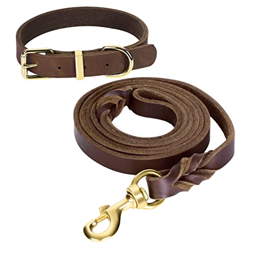 Guiding Star 1.5 m Leder-Hundeleine und Halsband-Set, weiches geflochtenes Leder, 1.5 m mit verstellbarem Hundehalsband, Set für kleine, mittelgroße und große Hunde von Guiding Star