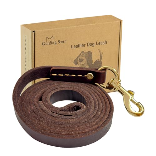 Guiding Star Leder-Hundeleine, 1,8 m x 1,9 cm, braune Lederleinen für Hunde mit handgefertigten Nähten und verstärktem Vivet, strapazierfähig, weich, für große und mittelgroße Hunde von Guiding Star