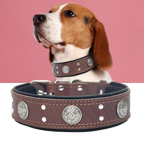 Hundehalsband aus Leder für große und mittelgroße Hunde, strapazierfähig, 5,1 cm breit, dick, stark, luxuriös und mit Nieten, Braun (49,5 cm - 59,7 cm) von Guiding Star