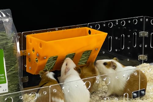GuineaLoft™ Heu-Futterstation (Gelb) – Ultimativer Heu-Futterspender für kleine Haustiere wie Meerschweinchen, Kaninchen und Chinchillas. Entworfen und hergestellt von erfahrenen Besitzern, die alles von GuineaLoft